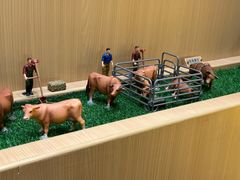 餐具摆设-贵宾牛·潮汕牛肉火锅(珠池总店)