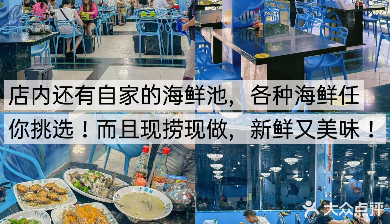 在三亚,小海豚海鲜餐厅,本地人带路的人气之选!