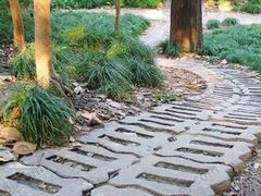 -徐家汇源景区-衡山公园