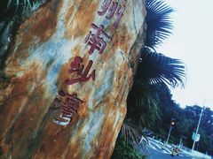 -南沙蒲洲花园