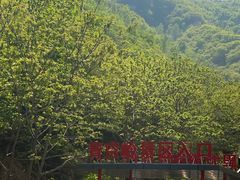 -黑龙潭风景区