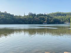 -深圳仙湖植物园