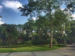 -晓港公园