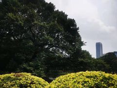 -晓港公园