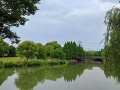 -九里河湿地公园
