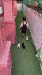 -萌宠亲子动物乐园(槐房万达店)