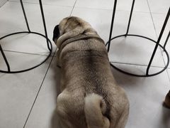 -双冰面馆(茶南店)