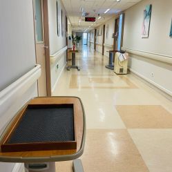 -杭州贝瑞斯美华妇儿医院·早孕·产检·儿科