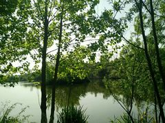 -白鹭湾湿地公园