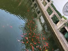 -苏州文旅花间堂·探花府酒店