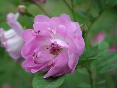 -清远鱼水旅游风景度假区