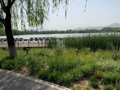 -石家庄市植物园