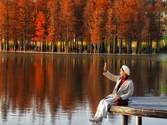 -白鹭湾湿地公园