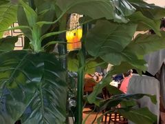 -芭提雅PHO THAI(美美1店)