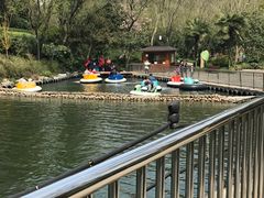 -杭州少年儿童公园