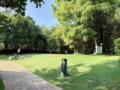 -呈贡滇池生态湿地公园