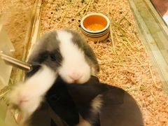 -龙猫仔乐园(惠福东路店)