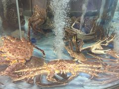 -海底捞大排档火锅(打浦路店)