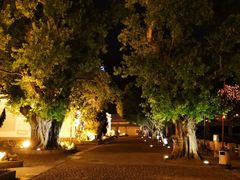 -龙环葡韵住宅式博物馆