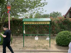-太阳宫公园