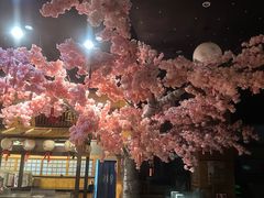 -大江户·温泉洗浴(浑南店)