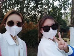 -合肥滨湖国家森林公园