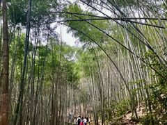 -黄山翡翠谷景区