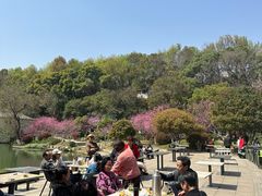 -食膳公园包子铺(烈士公园店)