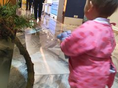 -双湖宴·湖北菜(文化路店)