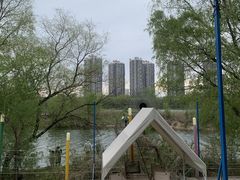 -长白岛森林公园