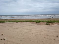 -日照海滨国家森林公园