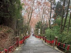 -窦圌山风景区
