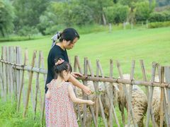 -溪口-滕头旅游景区