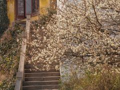 -苏州上方山国家森林公园