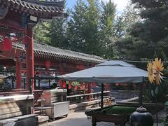-尚庄度假村·庭台树下·户外烧烤·团建CS·轰趴营地(上庄水库店)