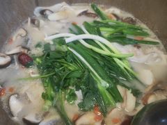 -抚仙湖野生菌石锅鱼(腾冲总店)