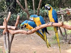 -杭州野生动物世界