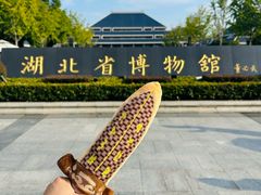 -湖北省博物馆