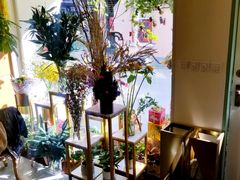 -蝶舍·MAISON PAPILLON