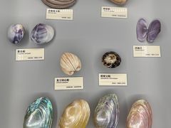 -天津古林古海岸遗迹博物馆