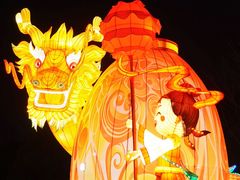 -武汉园博园(武汉自然博物馆)
