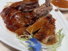 -新雅粤菜馆(南京东路店)