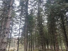 -硗碛藏寨·神木垒景区