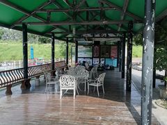 -合肥滨湖国家森林公园