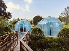 -麓湖湾·土菜院子(梅溪湖店)