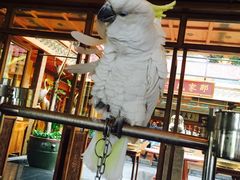 门面-那家小馆•北京菜•烤鸭(香山店)