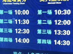 -哈尔滨波塞冬海底世界