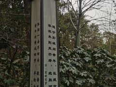 -云龙山