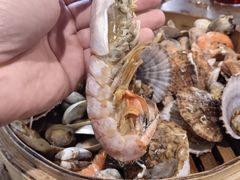 -鲜小岛·铜锅涮肉