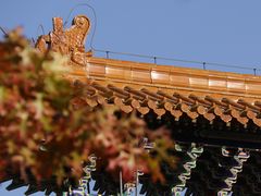 -北京西山国家森林公园